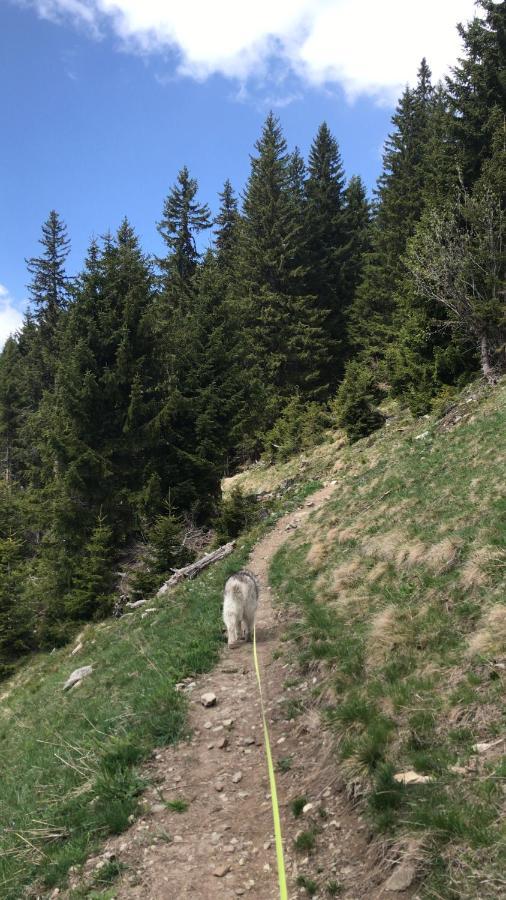 Ferienwohnung Uf Z'Enisch Klosters-Serneus Exterior foto